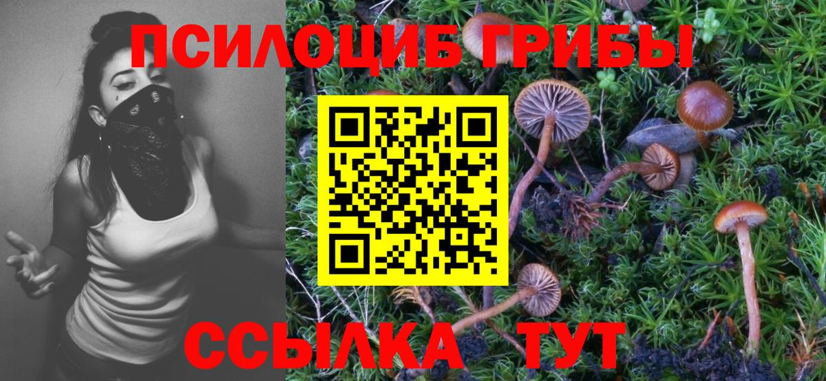 Новотроицк  Псилоцибиновые грибы GOLDEN TEACHER  Вход с VPN 