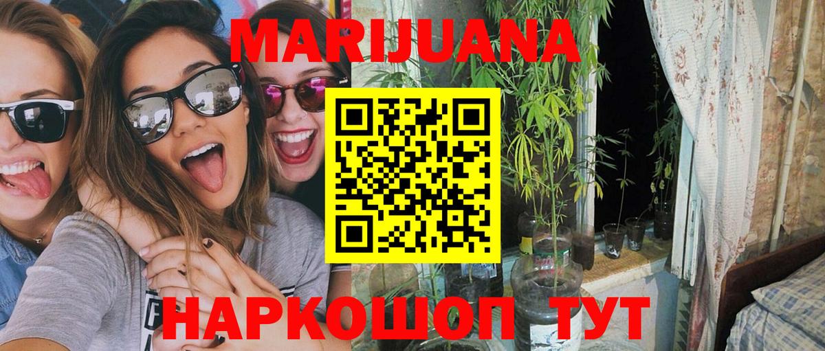 Новотроицк  Марихуана семена  Вход с VPN  Канабис ГИДРОПОН  Каннабис Amnesia 
